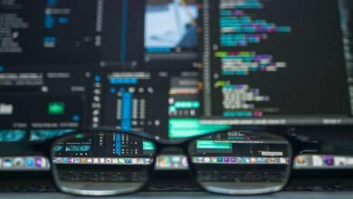 bvostfus python software exploration