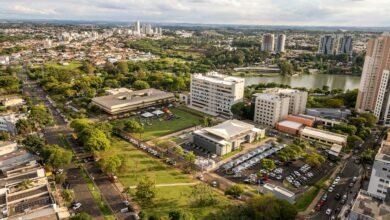 multi region identifier report list