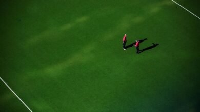 competitive analysis overview summary