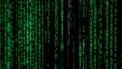 data briefing for identifiers