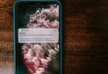 community alerts for safety