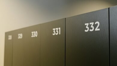 creative systems applications contact