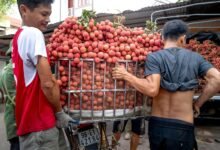 smart authority market lift