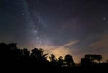 stellar horizon insights revealed